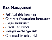 risk management